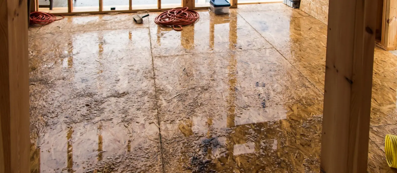 Wet hardwood floor in a room with exposed wall framing