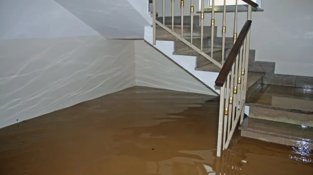 Basement stairs with floodwater at the bottom