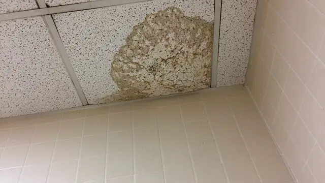 Water stain on a ceiling tile above a tiled wall