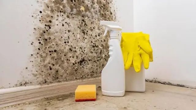 Mold on a wall with cleaning spray and sponge