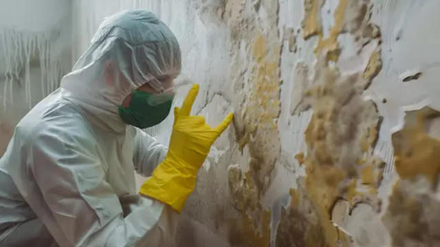 Technician in protective gear working on a moldy wall