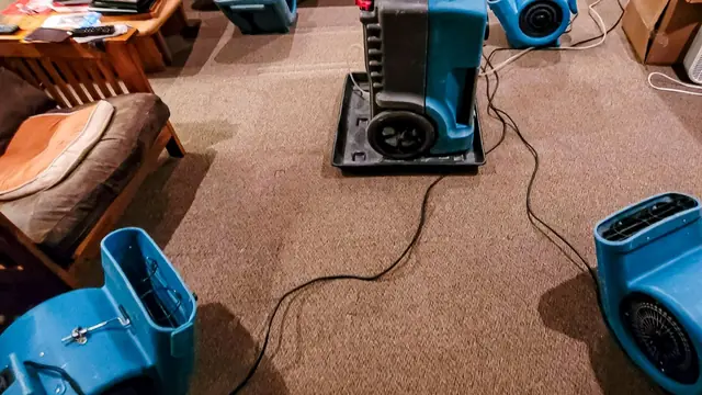 Dehumidifier and air mover drying a carpeted room