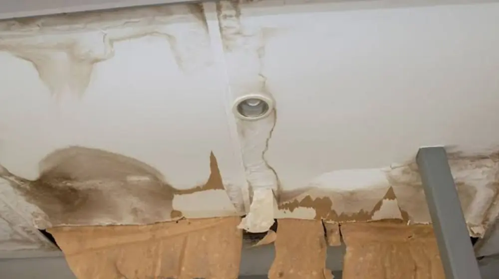 Water stained ceiling with peeling paint and drywall damage